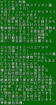 RAWTVW `hڃJȃRAWTV iUj SQSAcO~qh Ɠ炢̑傫B ł́AɃ_CrO ċ߂炦B̗lq AWTV̖OtꂽB ɐBOɂ̓IXXɊl v[guav BJZ~Ɠl s邱Ƃ͋ [Bsł͊}łB  ̎ʐ^̓IjoXƃATU iVj IjoX̓XCȃIjoX ̂PN̐AłB V`WɂQ[gɂy ȗt𐅖ʂɍLA ȎF̉Ԃ炩B 킪ɗāA肷 ߖNJԏ󋵂قȂB N͑RIjoXB Ŋ뜜œsVRLOB ATU̓~cKVȃATU NBԂŐł X`POPԂςr ŊJA邱ƂłB ȉF̉Ԃ炩APP ɂ͂ڂł܂܂B Ŋ뜜B
